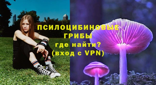 дурь Иннополис