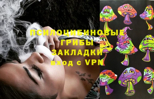первитин Инта