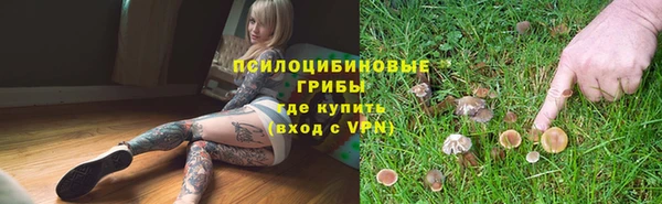 первитин Инта