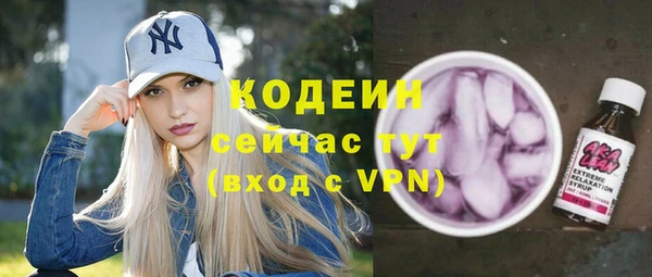 первитин Инта